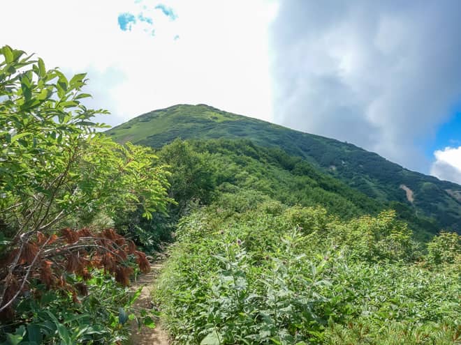 階段を登りきると、目の前に火打山山頂が見えてくるのですが