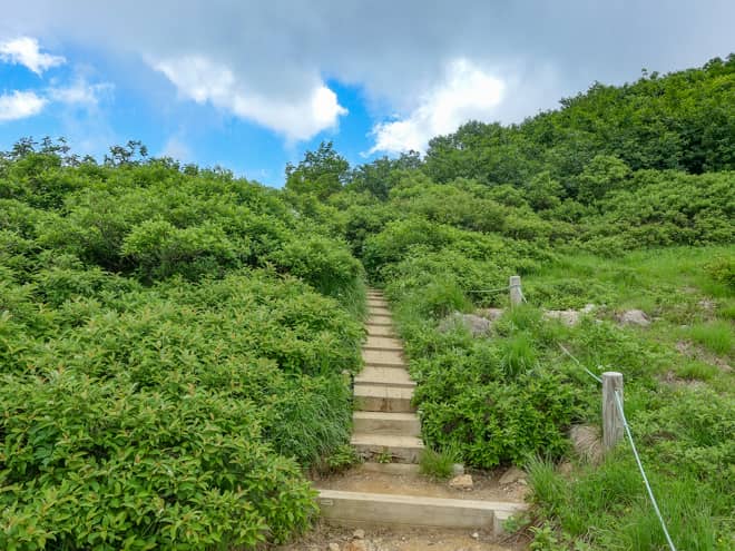 雷鳥平→火打山山頂