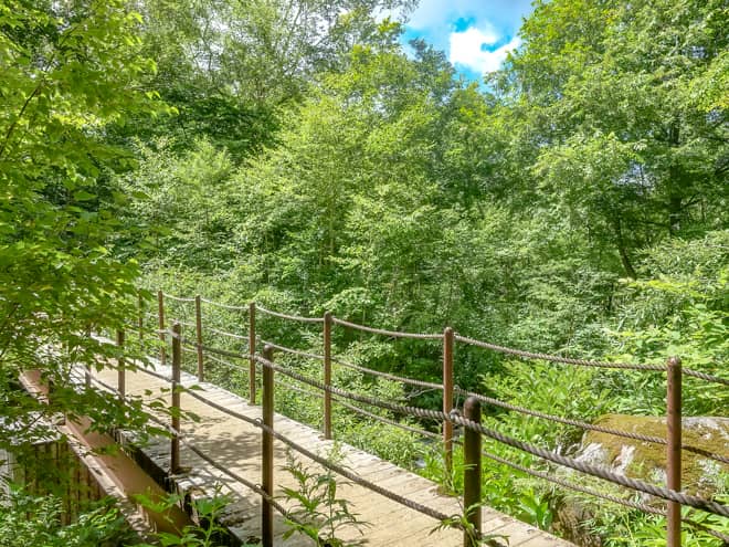 黒沢橋は貴重な水場です