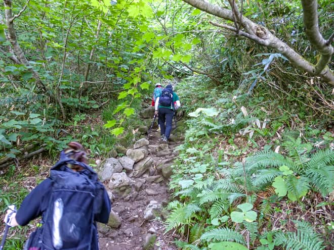 黒沢橋より先は本格的な登山道になります