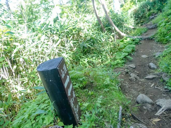 59kmの標識が見えてきたら段々と景色が開けていくので