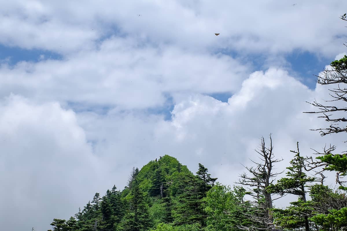 日本百名山「四阿山」ゴンドラが使える期間限定の最短コースをご紹介