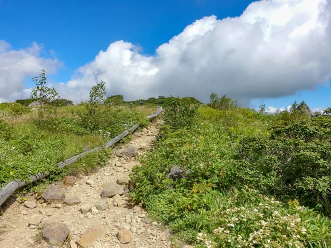 お花畑と呼ばれるだけあって