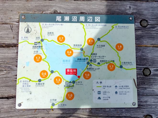 どちらかの方法で尾瀬沼に到着をしたら