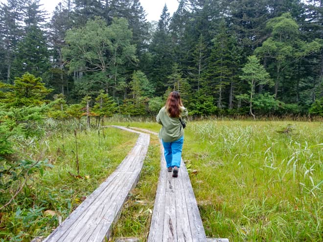 アップダウンを繰り返す中