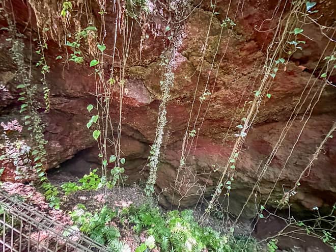 フェンスからのぞき込むと