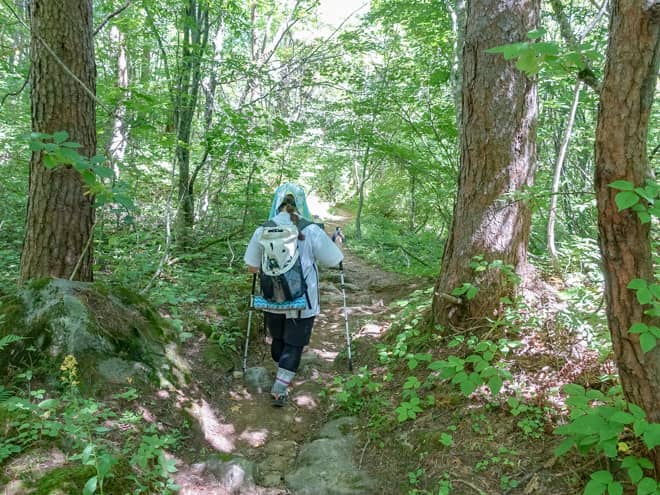 下りきると平坦な道のりが続きます