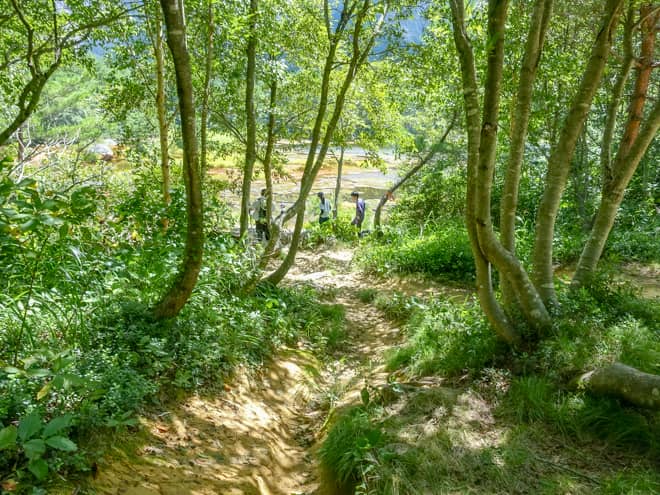 今回の山行では運悪く山頂でガスに見舞われてしまい