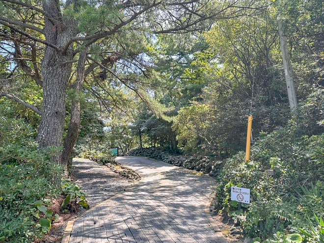 今回は35度を超える猛暑日ということもあり