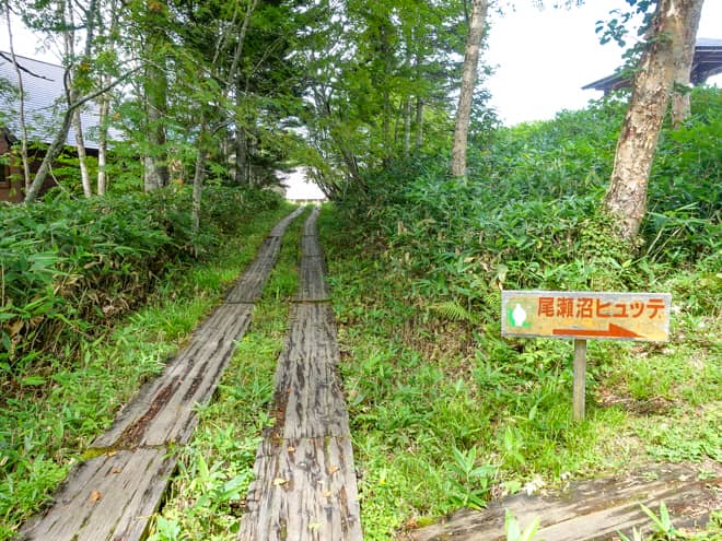 再び森のトンネルに入り
