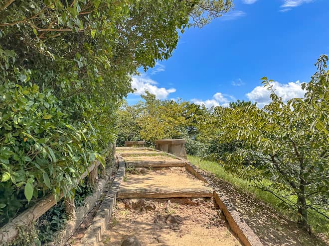 因みに火口はお鉢巡りができる道が整備されています