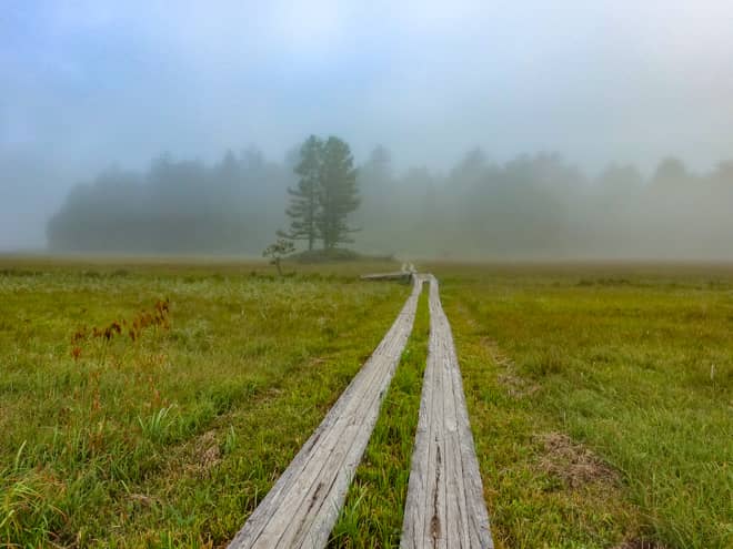 大江湿原の分岐から沼尻までは