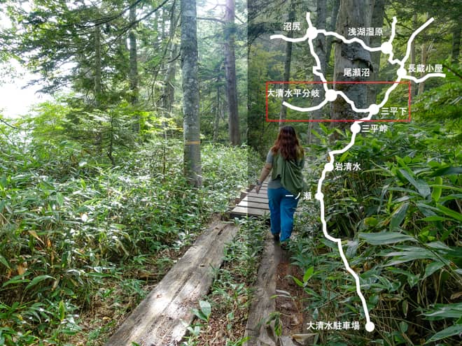 大清水平分岐→三平下