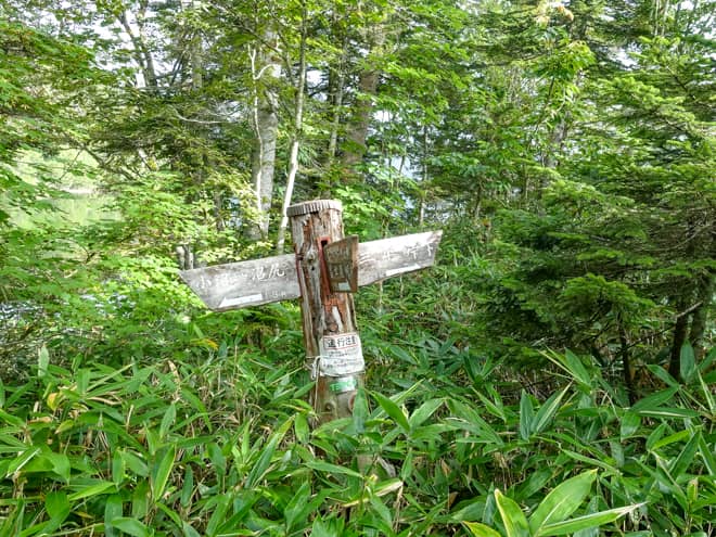 大清水平分岐に到着です