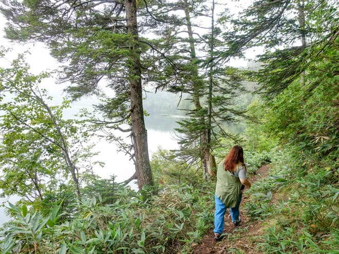 尾瀬沼の南側は山の裾野が湖岸に迫り出したような地形