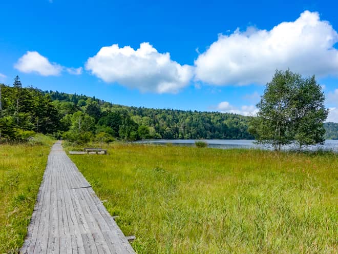 尾瀬沼へ訪れる方の多くが福島県側からのルートを利用します