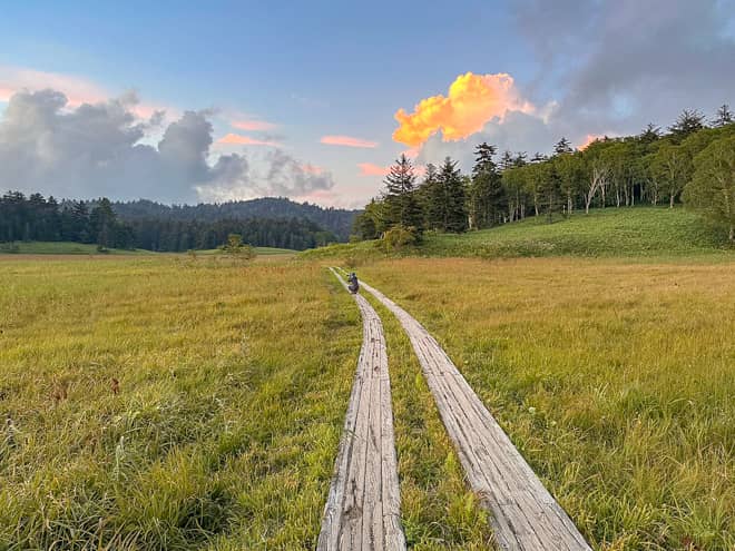尾瀬沼沿いに広がる大江湿原は