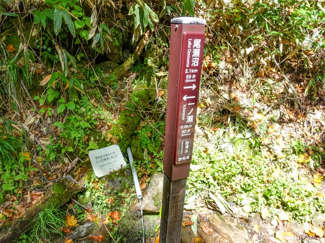 岩清水に到着です