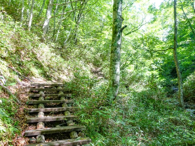 急こう配でも階段が整備されているお陰で