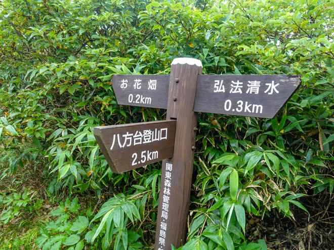 暫く登り続けると分岐に到着です