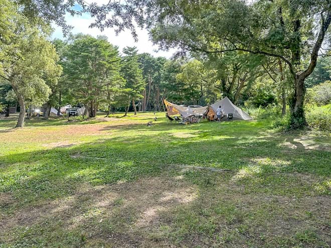 林間サイト「天神浜オートキャンプ場」