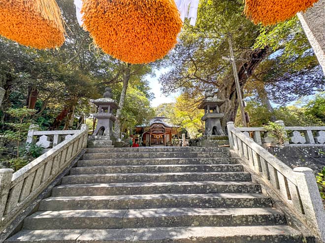 池の奥には森林が広がっていて