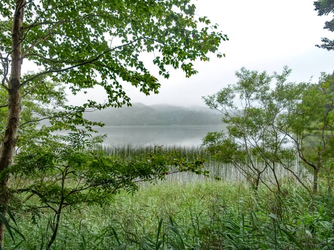 沼尻までは基本的に樹林帯歩きが続きます