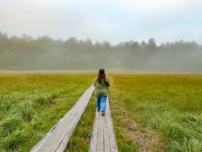 浅湖湿原は尾瀬沼北岸のほとりにある小さな湿原