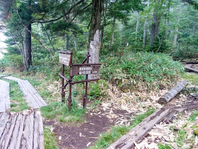 湿原歩きの後、一旦樹林帯に入ります