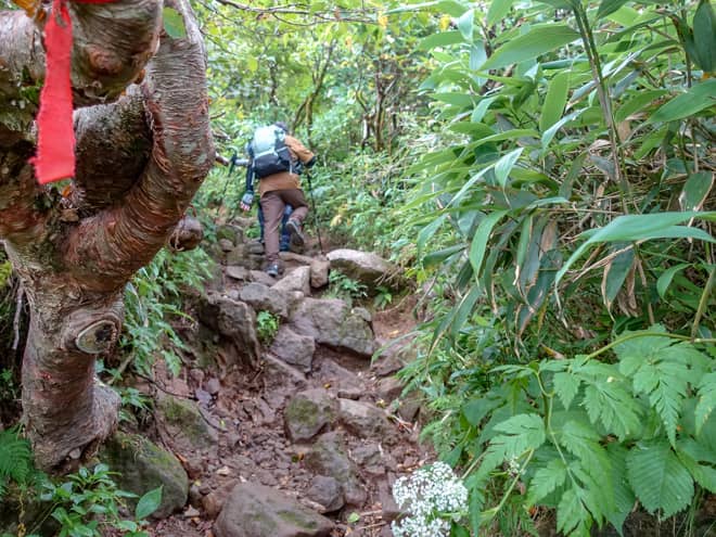 登山道は大変狭く、岩だらけの急登