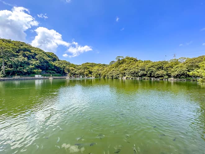 笠山は山頂展望台から望む日本海の眺望や