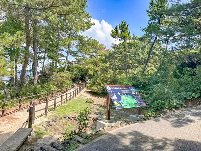 笠山椿群生林に到着しました