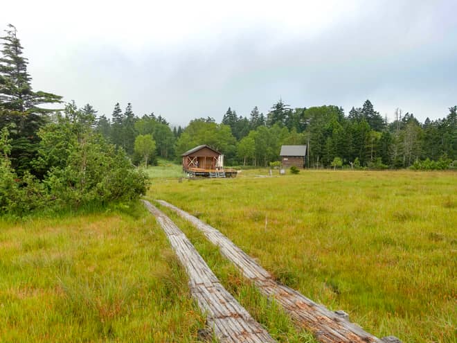 見晴らしの良い湿原にでると遠くに建物が見えます