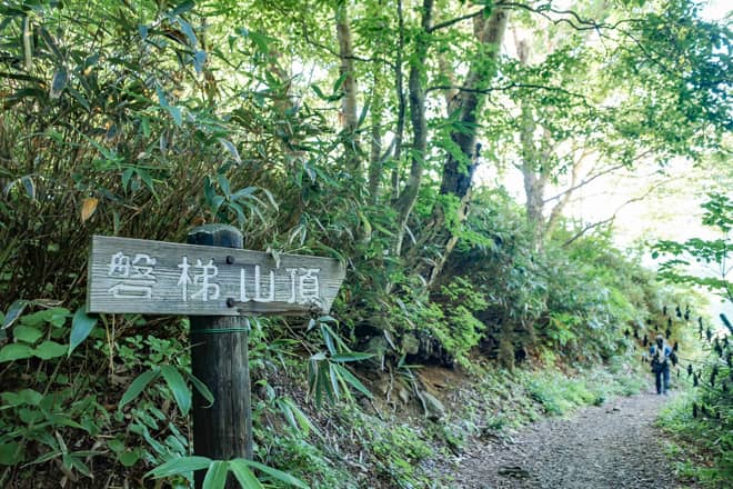 車も通れそうな林道を暫く歩き進めると