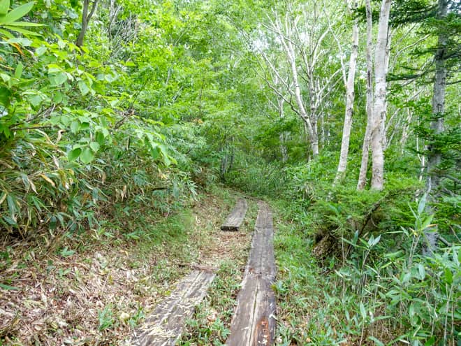 階段地獄が終わると、少しだけ緩やかに