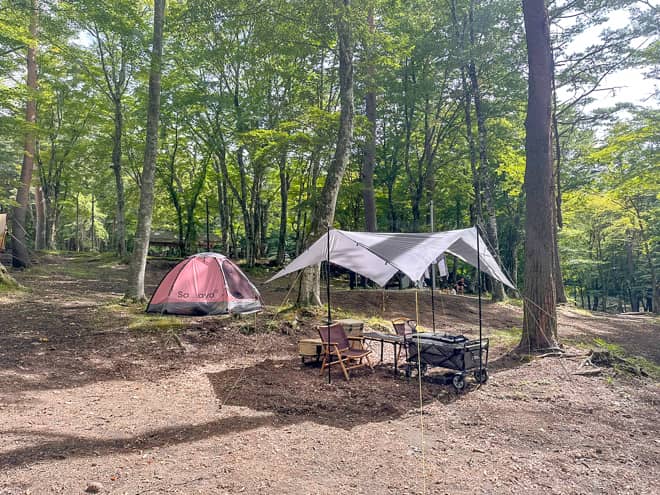 「the508」を利用してわかったこと