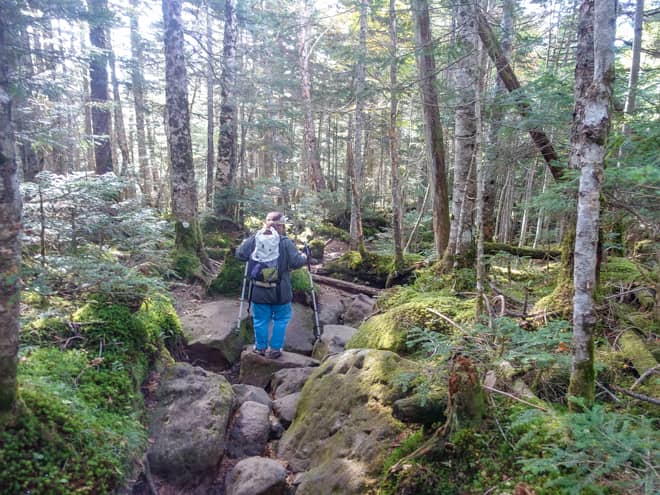 とはいえ、登山道は岩が覆い尽くしており