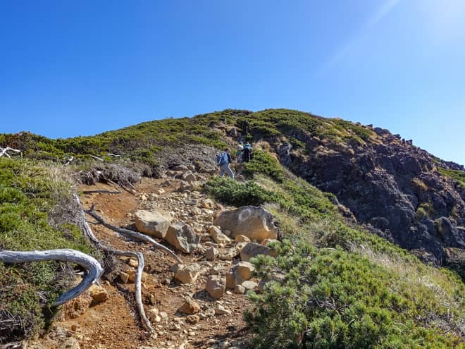 と思ったら偽ピーク