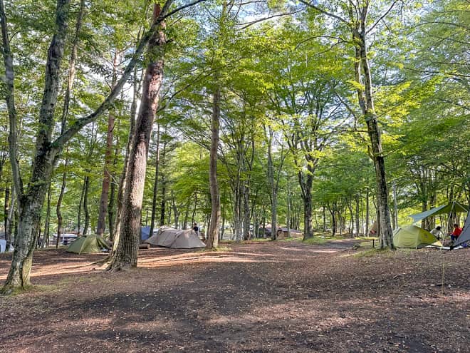 オートキャンプサイト「the508」