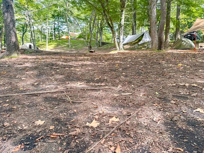 サイトの地面の特徴「the508」