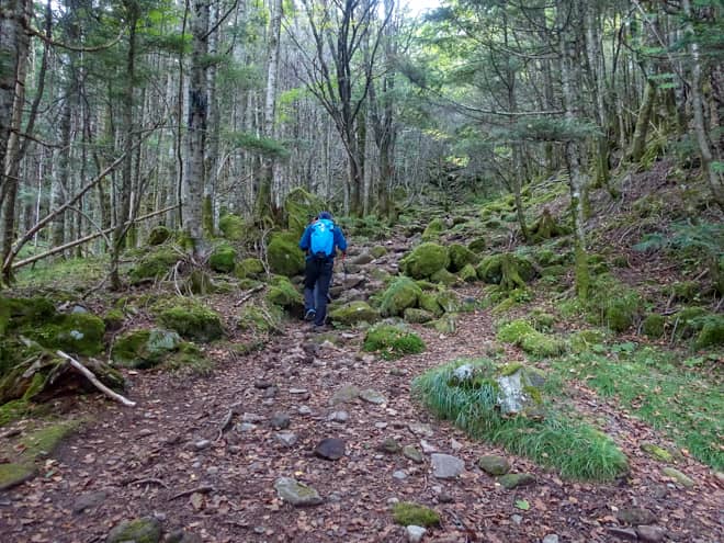 出だしは若干緩やかな道のりで