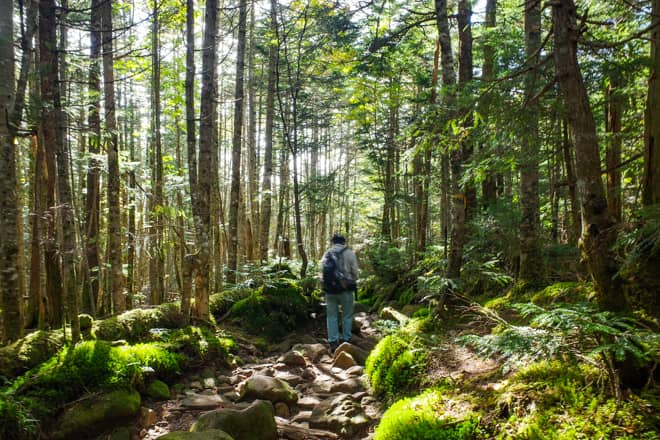 半分くらい歩き進めると段々と岩場が少なくなり
