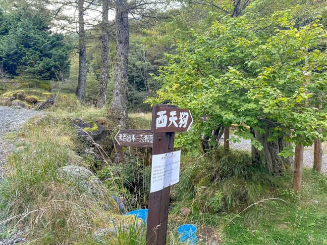 唐沢鉱泉には分岐があります