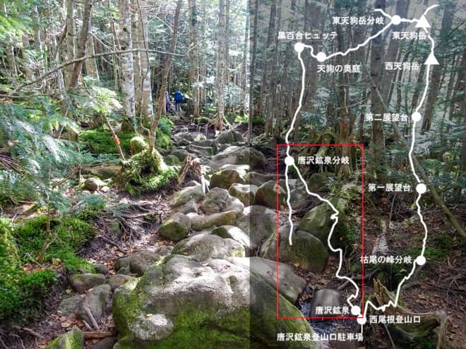 唐沢鉱泉分岐→唐沢鉱泉