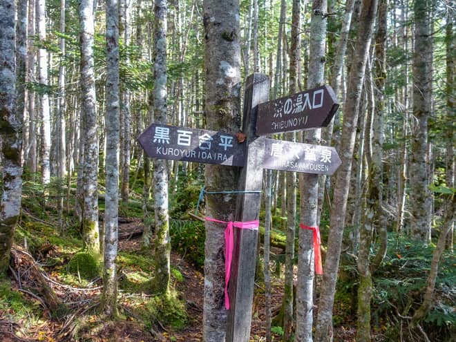 唐沢鉱泉分岐に到着です