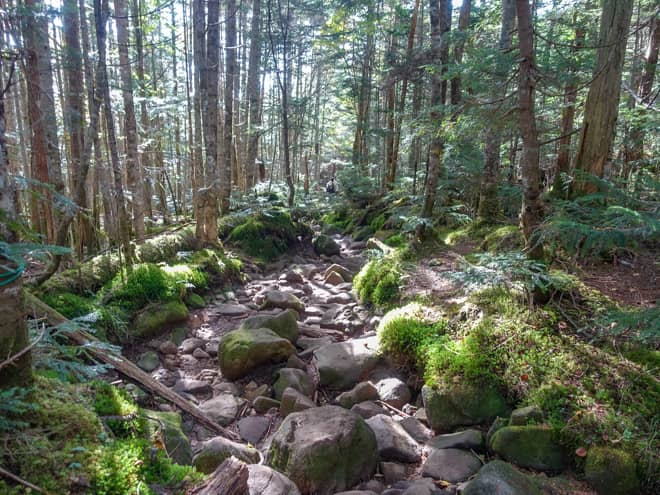 唐沢鉱泉方向へ進むのが一般的ですが