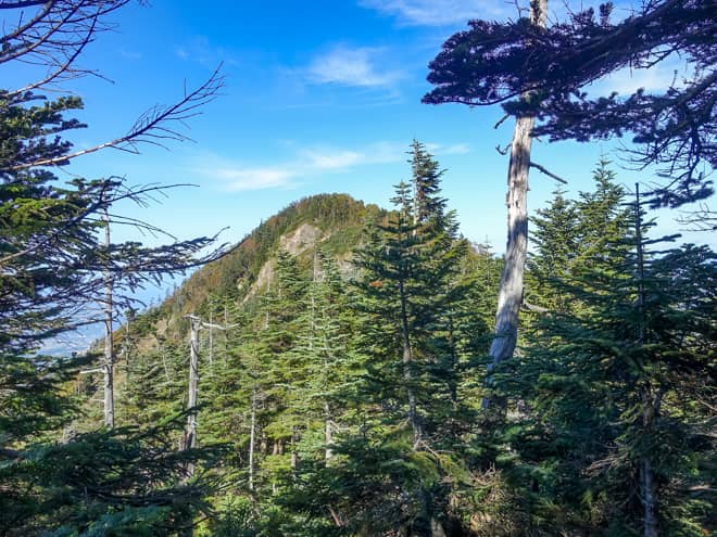 因みに目の前に聳えたつ山が西天狗岳です
