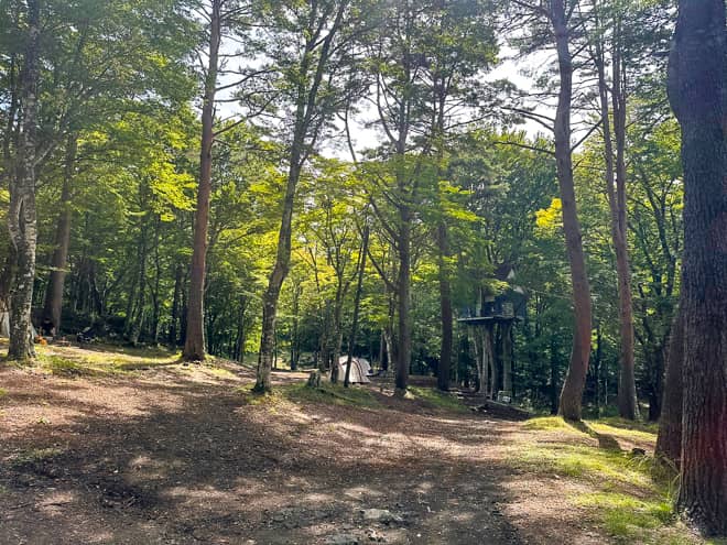 林間サイトでは珍しい直火OKのフィールド