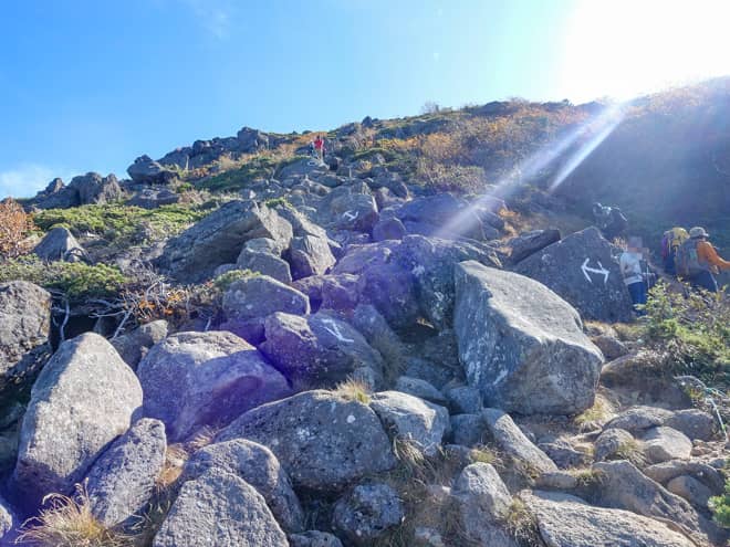 森林限界を迎え