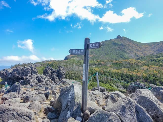 標識がある場所までは平坦な道のりが続きますが